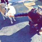 10895402_923082564392313_1802080159_a