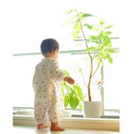 12407437_143506859356773_39976553_a