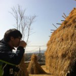 10727336_1552627524956195_989925245_a