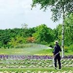 11363867_105508473136728_1055223800_a