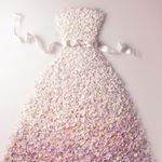 11910455_1670929583144705_2005853958_a