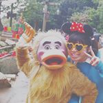 11881610_138522086511026_492411325_a