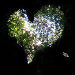 11910468_1614127488837637_156839318_a