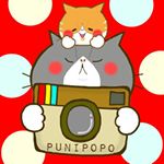 11906365_1482281468740870_1292866387_a