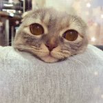 11142880_1583564488599459_1084702663_a