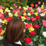 11084833_660240564079927_2104625647_a