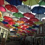 12353959_1036416009748240_356232901_a