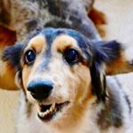 12354077_758490277616914_156909156_a