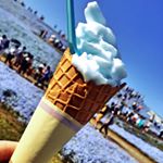 10584650_855547964564433_437825657_a