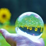 12346289_1663189417290217_508033096_a