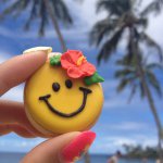 10899115_910064789018075_585795561_a