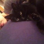 12479347_1058908774149041_283190782_a