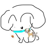 10413246_1649409351994301_1686204236_a