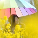 11018419_1555561678051482_1664622444_a