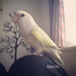 10598309_332194216949208_1230555684_a