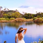 11326162_1481108035518755_534760449_a