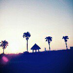 11357310_1651205281782277_550416431_a