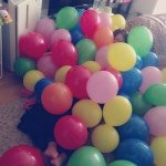 11325269_923411947731551_216983879_a