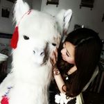 11899669_1083504261709363_792685373_a