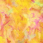 924692_405800646295076_686319000_a