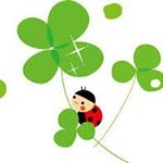 12331756_205280689812069_381579908_a