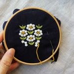 12362063_863356897103611_965418307_a