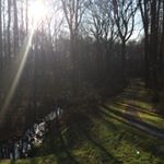 12362203_1505558666407021_1494677050_a