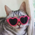 11313606_1673346909609859_1421660003_a