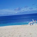 11357501_740926726019748_428384953_a