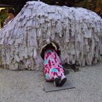 12144322_1512002579122676_1784497595_a