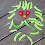 10724240_275777895954923_132062244_a