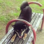 11372124_846658688745015_25372770_a