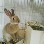 11372353_736563373144520_570375975_a