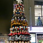 12292804_1493034381002442_108938747_a