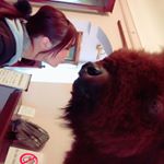 12063001_419367111592482_1436261799_a