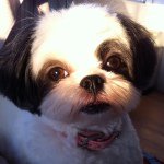 10299649_288640108000042_77382580_a