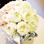 12141847_1611281595798705_1520315236_a