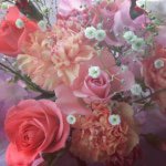 10946690_598880870212370_519785529_a