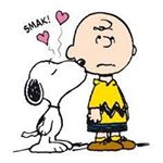 12145096_458535277667895_1585080046_a