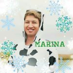 12317717_1502602870039668_620385665_a