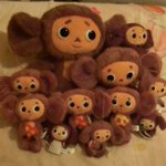 11821892_533940253430616_425109471_a