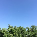 11311446_408145259310657_1636918117_a