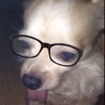 10890684_1555343934751906_1692284949_a