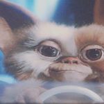 12071056_1510071595952066_1007527404_a