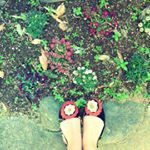 1941000_1664340257117895_1105079568_a