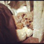 11820499_374068409454894_2100987232_a