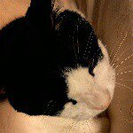 11357443_863414677080202_2131613311_a