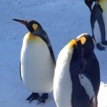 925277_642391992509820_1736381038_a