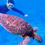 11311558_1156515367699053_1002398981_a