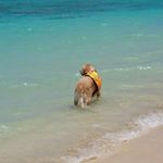 11939647_1463122347325527_1600067794_a